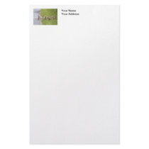 Baby Coyotes Running and Playing Personalized Stationery