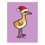 Baby Crane Santa Postcard