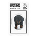 Baby Dachshund postage