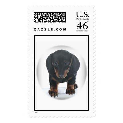 Baby Dachshund Stamps by kokobaby