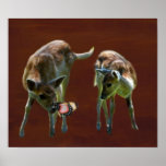 Baby Deer and butterfly Poster