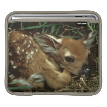Baby Deer iPad Sleeve