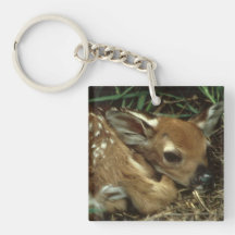 Baby Deer Keychain Acrylic Key Chain