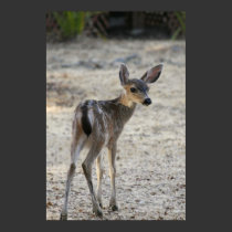 "Baby", Deer posters
