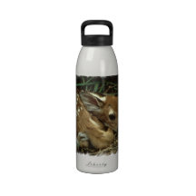 Baby Deer Water Bottle