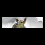 Baby deer's curiosity bumper stickers