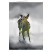 Baby deer's curiosity cards