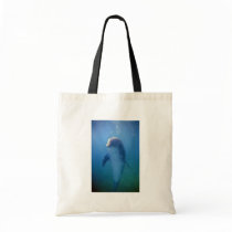 Baby dolphin, La Havana Aquarium, Cuba Canvas Bags
