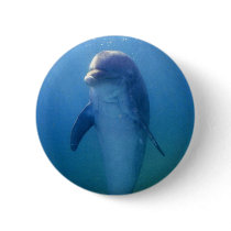Baby dolphin, La Havana Aquarium, Cuba Pinback Buttons