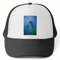 Baby dolphin, La Havana Aquarium, Cuba Mesh Hat