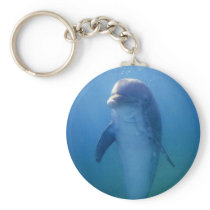 Baby dolphin, La Havana Aquarium, Cuba Key Chains