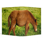 Baby donkey binder
