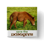 Baby donkey pins