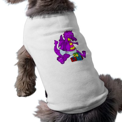 Baby Dragon with Blocks Pet Clothing by dragons_lair