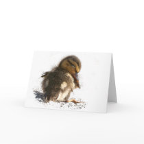 Baby Duck Duckling Card
