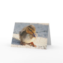 Baby Duck Duckling Card