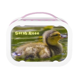 Baby Duck Lunchbox