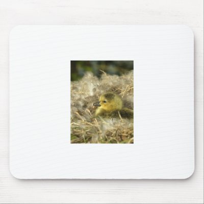 Baby Duck Mouse Pad by walkandbark