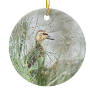 Baby duck ornaments