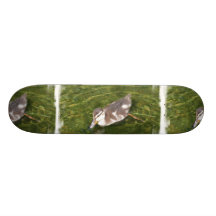 Baby Duck Swimming Skateboard