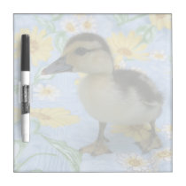 baby duckling on flowered background left dry erase boards