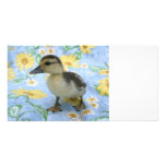 baby duckling on flowered background left photo greeting card