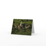 Baby Ducks 2 Note Cards