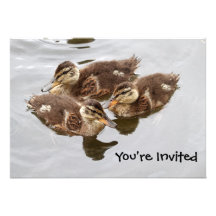Baby Ducks Photo Custom Invitations