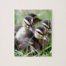 Baby Ducks Puzzle