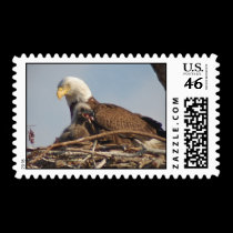 Baby Eagle 2011 stamps