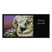 Baby eagle owl picture card
