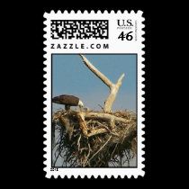 Baby Eagle! postage