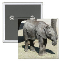 baby elephant 2 buttons