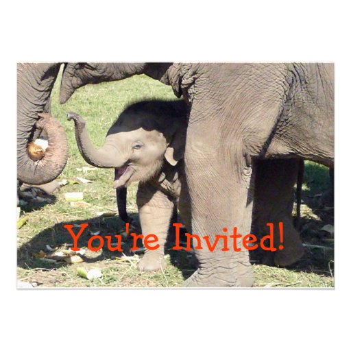 Baby Elephant Invitations