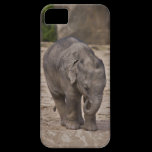 Baby Elephant iPhone 5 Case-Mate Case casemate cases