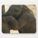 Baby Elephant Mouse Pad