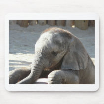 baby elephant mousepads by pinkypetals baby elephant mousepads