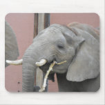 Baby Elephant Mousepad
