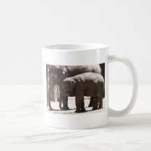 Baby elephant mug