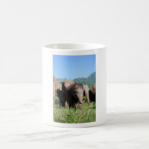 Baby Elephant Mug