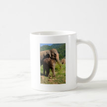 Baby Elephant Mugs