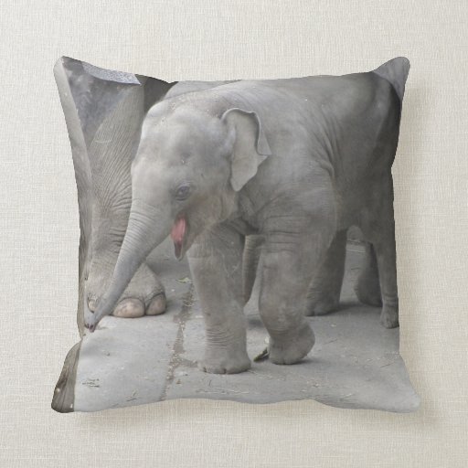 buy buy baby elephant pillow