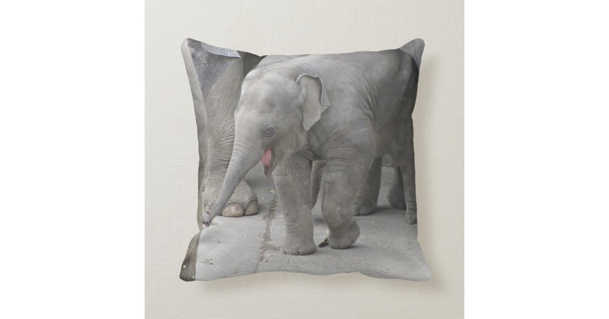 Baby Elephant Pillow Zazzle