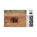 Baby Elephant postage by jfogelsong Baby Elephant postage