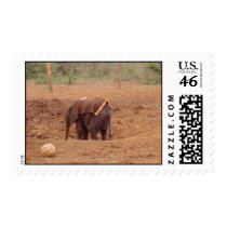 Baby Elephant postage