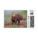 Baby Elephant postage by jfogelsong Baby Elephant postage