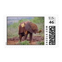 Baby Elephant postage