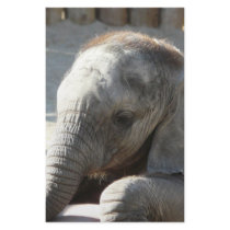 baby elephant stationery by pinkypetals baby elephant stationery