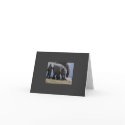 Baby Elephant Walk cards