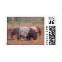 Baby Elephants postage by jfogelsong Baby Elephants postage